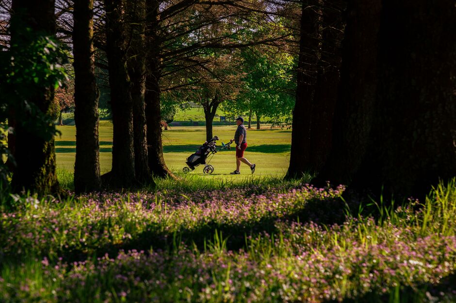 Golfer walking through trees at Strathaven