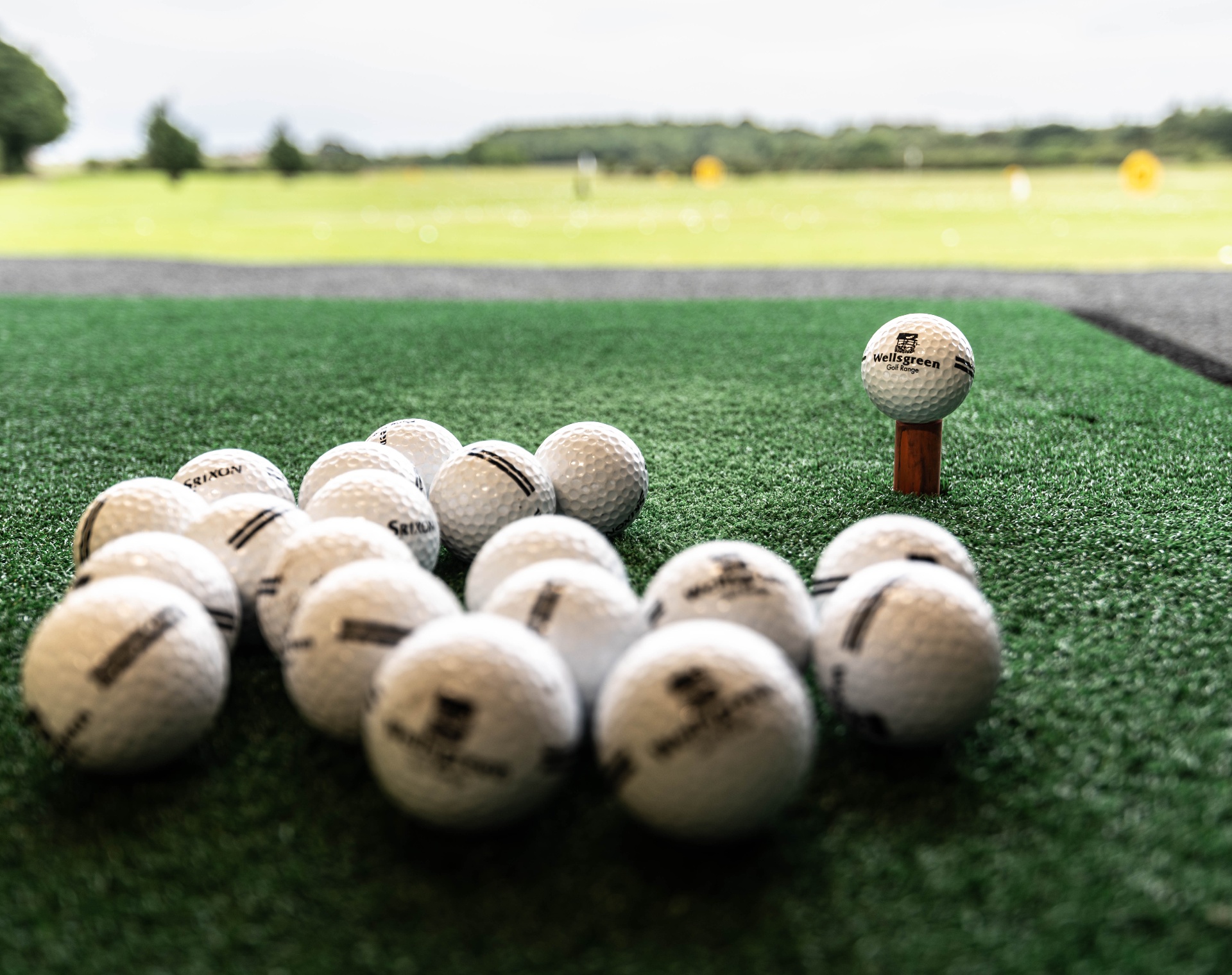 Wellsgreen branded range balls on the tee